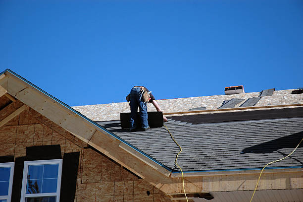 Best Roof Gutter Cleaning  in Ellsworth, KS