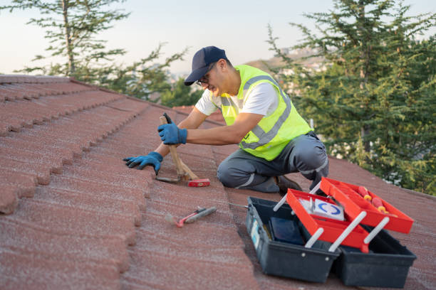 Best Roof Leak Repair  in Ellsworth, KS